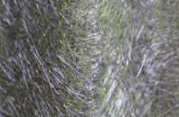 Little Leven fibreglass roof work